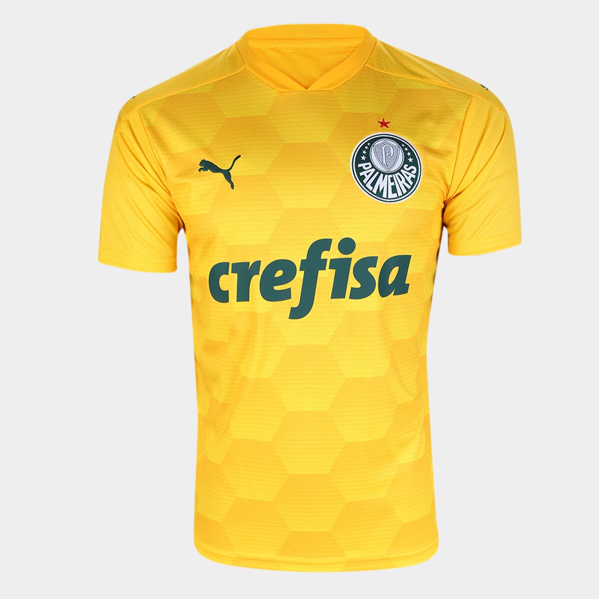 Camisa Palmeiras Goleiro 21/22 Verde - Puma - Masculino Torcedor