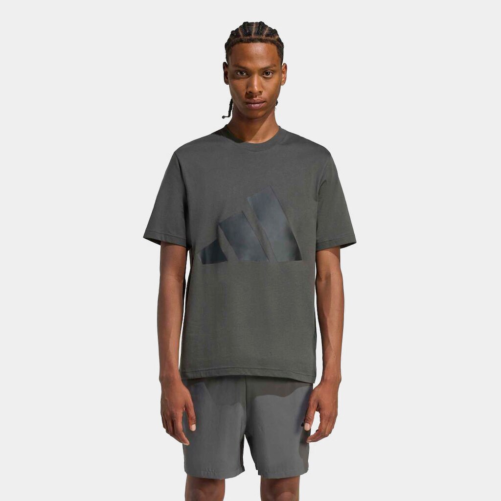 Camiseta Adidas Big Logo Masculina