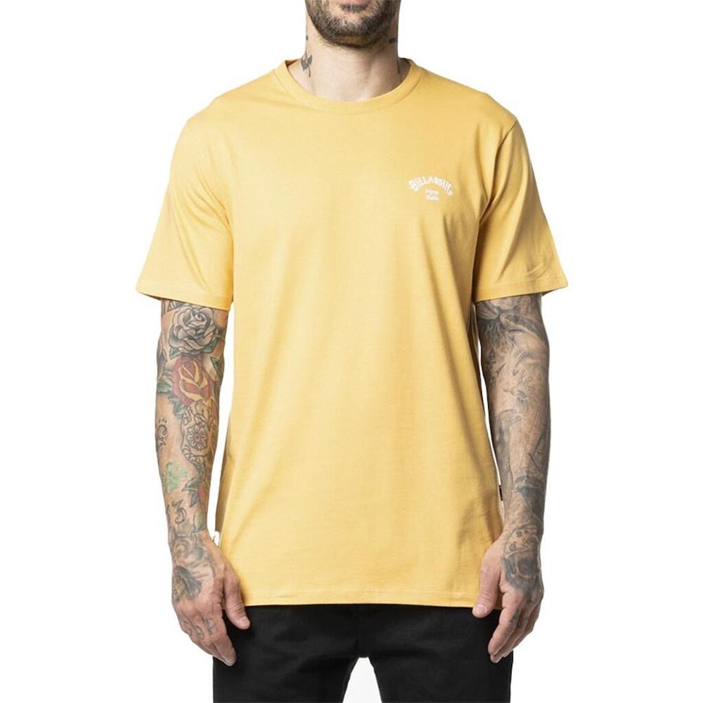 Camiseta Billabong Small Arch Emb. WT24 Masculina