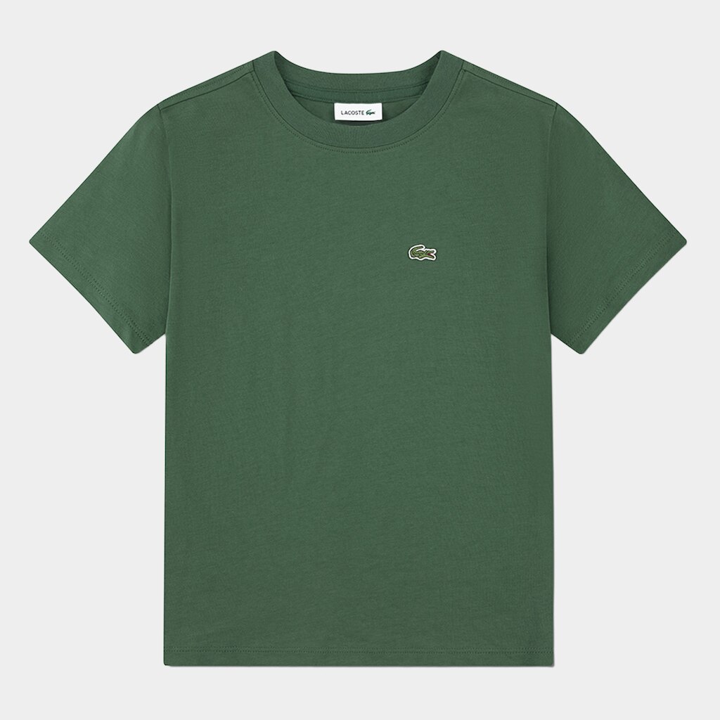 Camiseta Infantil Lacoste Casual Menino