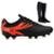 Chuteira Futebol Profissional Masculina de Couro Campo Grama Natural + Meião - Preto