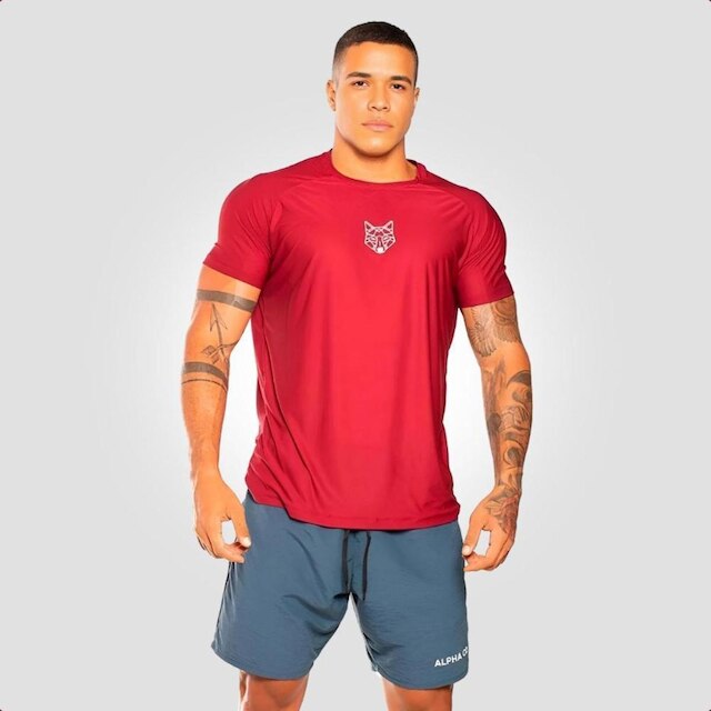 Kit 2 Camisetas Masculina Dry Alpha