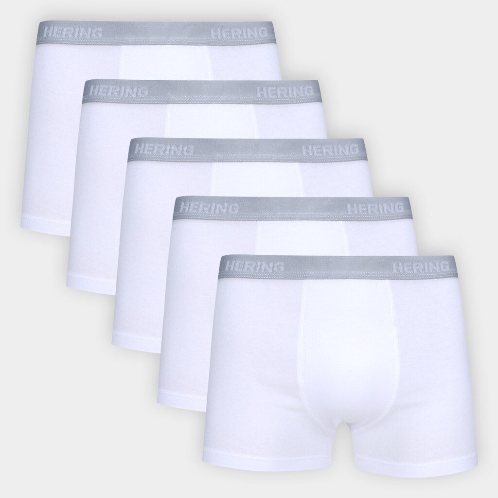 Kit Cueca Boxer Hering  5 Peças