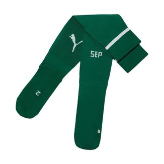 Meião Puma Palmeiras I 2025