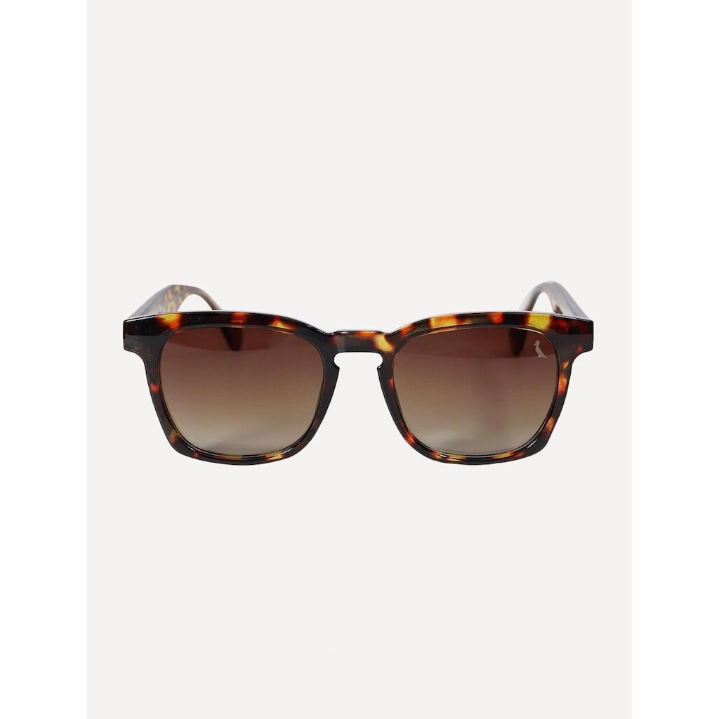Óculos Reserva de Sol Masculino Pointed Plate Square Tortoise